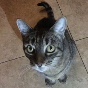 Meet your Posher, Elena